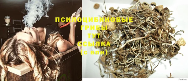 jwh Сосновый Бор