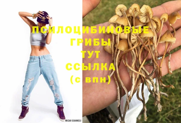 каннабис Заводоуковск